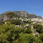 Oliveto كابري