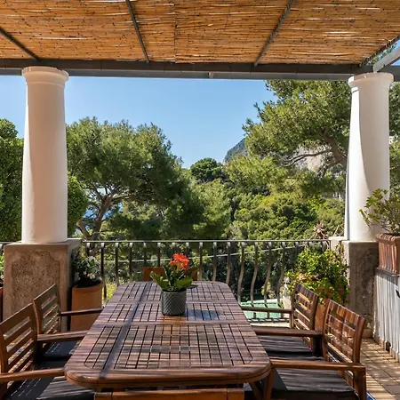 Apartment Oliveto *