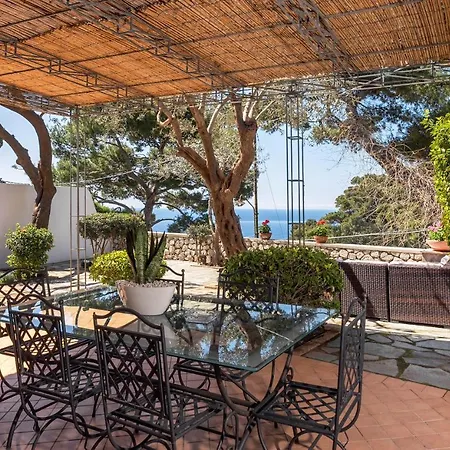 Oliveto Apartment