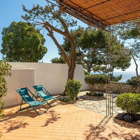 Apartment Oliveto