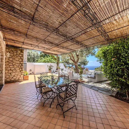 Oliveto Apartamento Capri