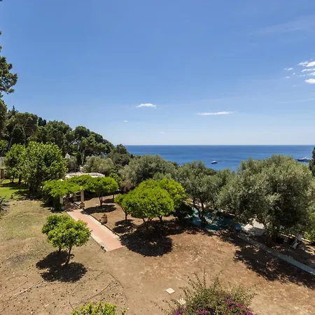 Oliveto Appartement Capri