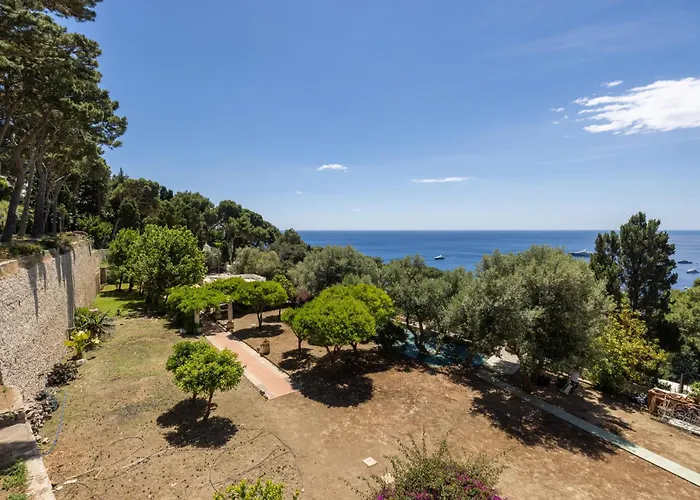 Oliveto Appartamento Capri