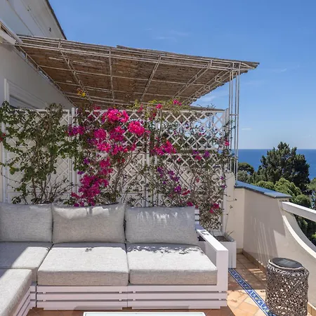 Daire Oliveto Capri